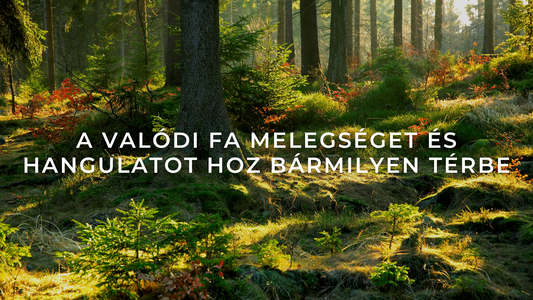 Üdvözlünk a GraviroWood világában: Köszöntünk a Természet Közelségében!